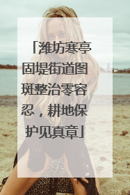 潍坊寒亭固堤街道图斑整治零容忍，耕地保护见真章